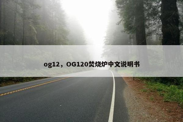 og12，OG120焚烧炉中文说明书