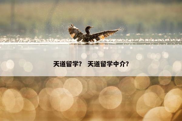 天道留学？ 天道留学中介？