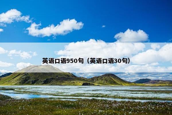 英语口语950句（英语口语30句）