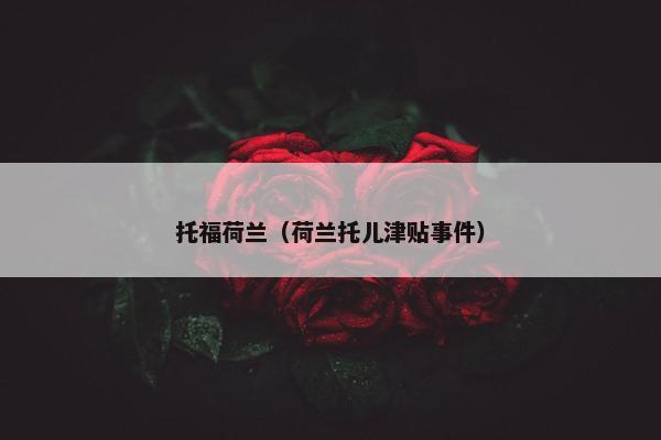 托福荷兰（荷兰托儿津贴事件）