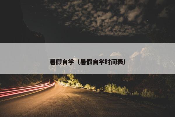 暑假自学（暑假自学时间表）