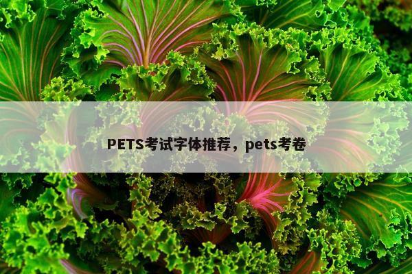 PETS考试字体推荐，pets考卷
