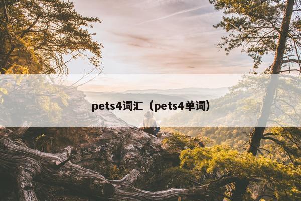 pets4词汇（pets4单词）