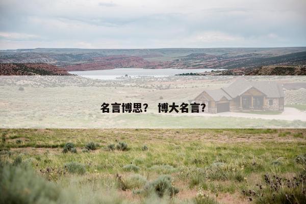 名言博思？ 博大名言？