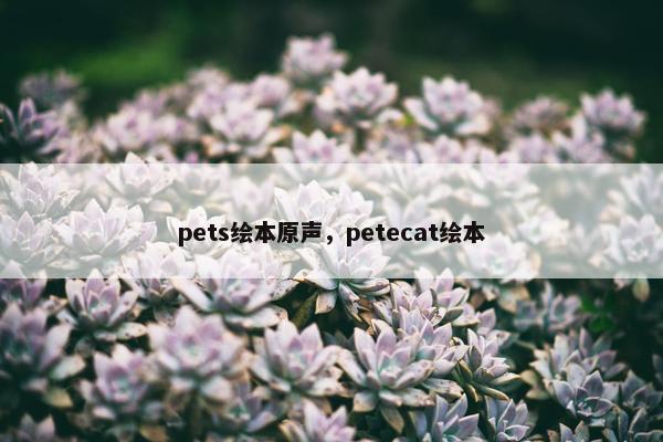 pets绘本原声，petecat绘本