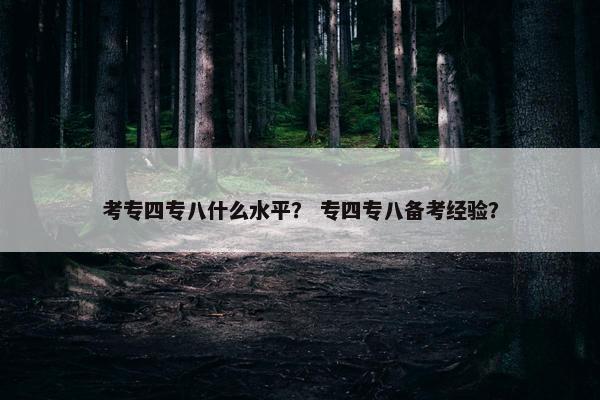 考专四专八什么水平？ 专四专八备考经验？