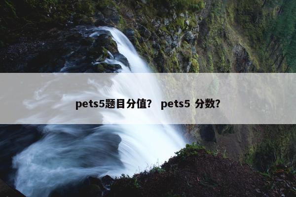 pets5题目分值？ pets5 分数？