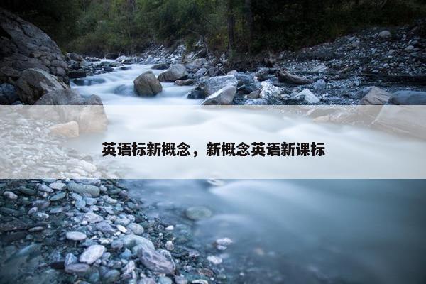 英语标新概念，新概念英语新课标