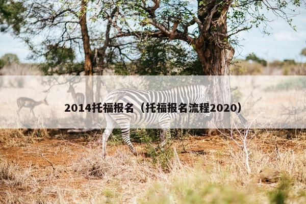 2014托福报名（托福报名流程2020）