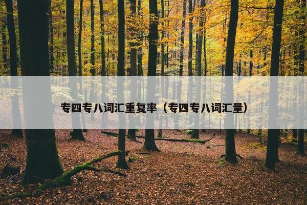 专四专八词汇重复率（专四专八词汇量）