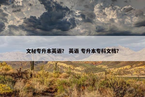文秘专升本英语？ 英语 专升本专科文档？