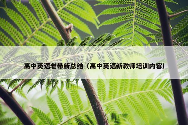 高中英语老带新总结（高中英语新教师培训内容）
