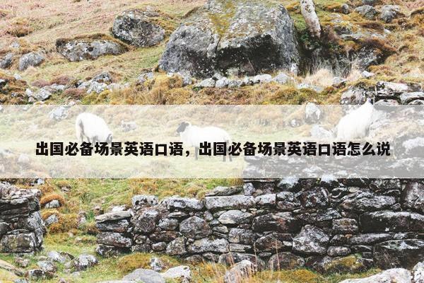 出国必备场景英语口语，出国必备场景英语口语怎么说