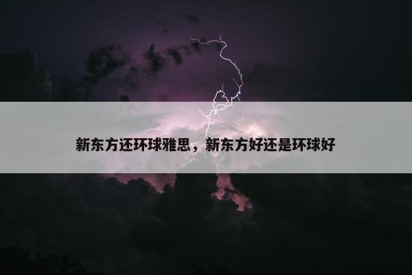 新东方还环球雅思，新东方好还是环球好