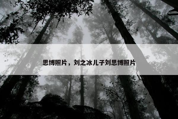 思博照片，刘之冰儿子刘思博照片