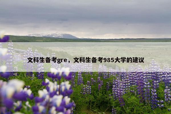 文科生备考gre，文科生备考985大学的建议