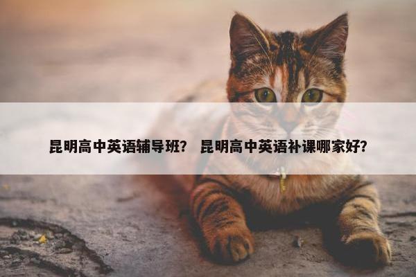 昆明高中英语辅导班？ 昆明高中英语补课哪家好？