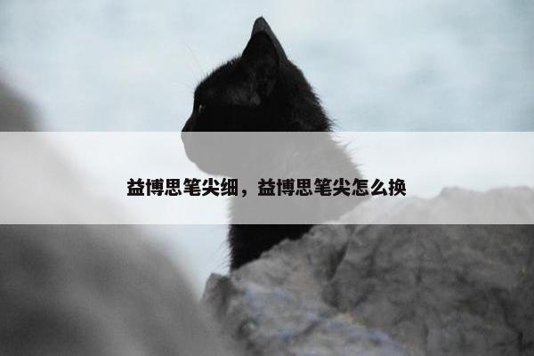 益博思笔尖细，益博思笔尖怎么换