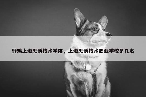 野鸡上海思博技术学院，上海思博技术职业学校是几本