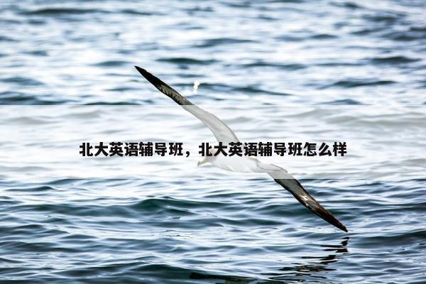 北大英语辅导班，北大英语辅导班怎么样