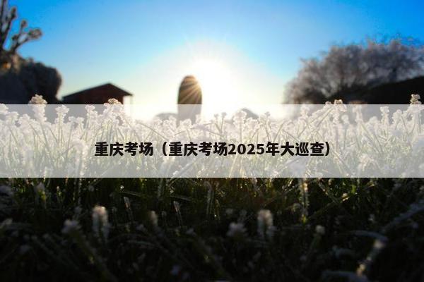 重庆考场（重庆考场2025年大巡查）