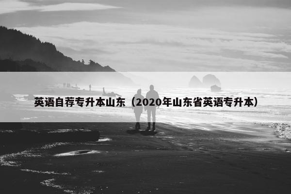 英语自荐专升本山东（2020年山东省英语专升本）