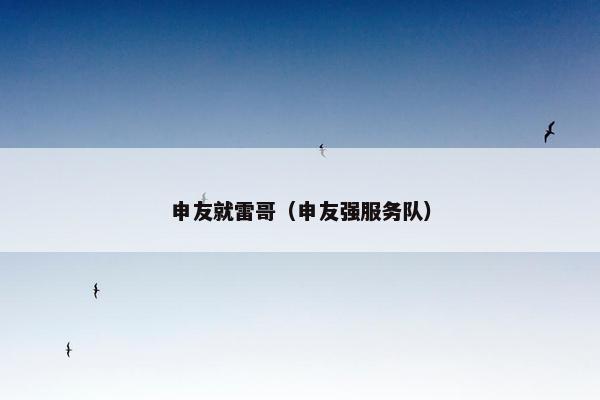 申友就雷哥（申友强服务队）