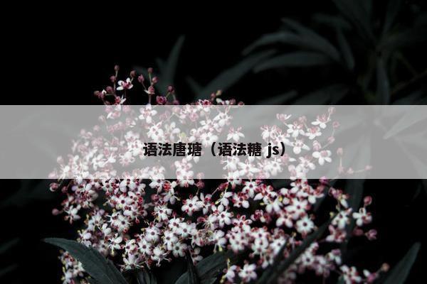 语法唐瑭（语法糖 js）