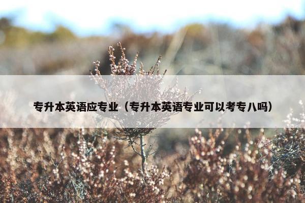 专升本英语应专业（专升本英语专业可以考专八吗）