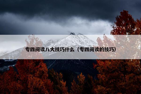 专四阅读八大技巧什么（专四阅读的技巧）
