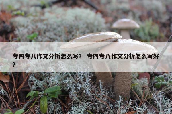 专四专八作文分析怎么写？ 专四专八作文分析怎么写好？