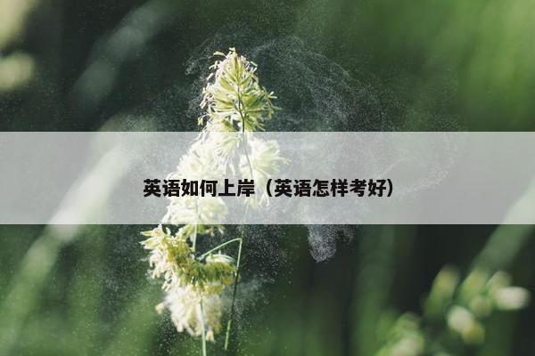 英语如何上岸（英语怎样考好）