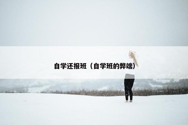 自学还报班（自学班的弊端）