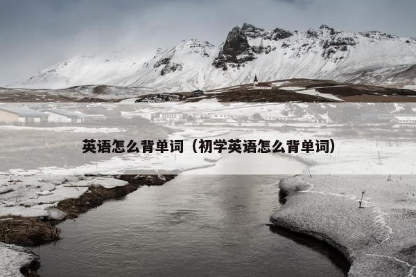 英语怎么背单词（初学英语怎么背单词）