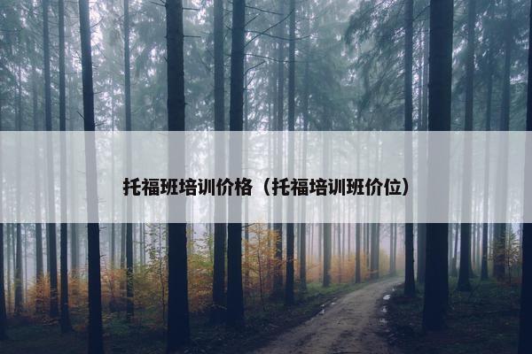 托福班培训价格（托福培训班价位）