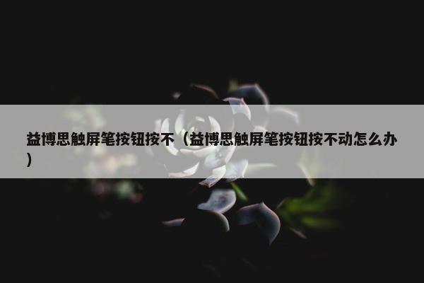 益博思触屏笔按钮按不（益博思触屏笔按钮按不动怎么办）