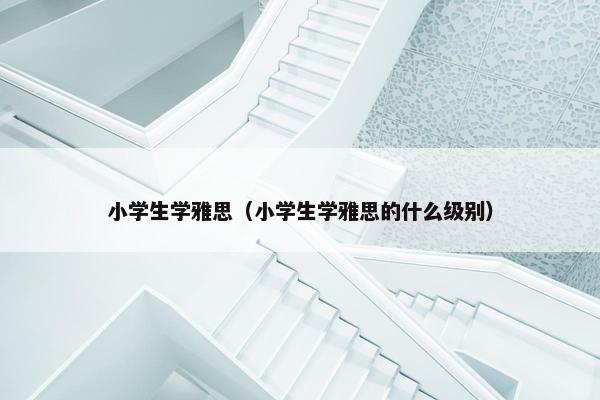 小学生学雅思（小学生学雅思的什么级别）