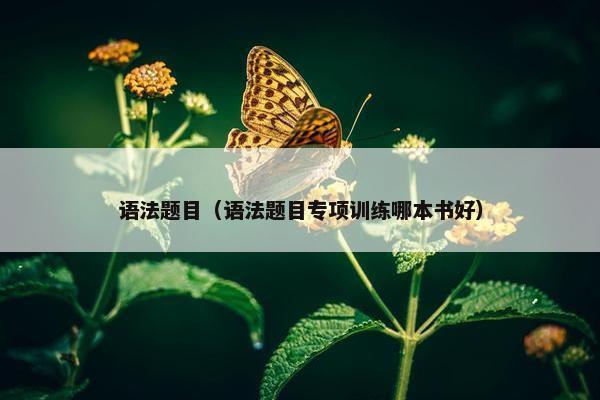 语法题目（语法题目专项训练哪本书好）