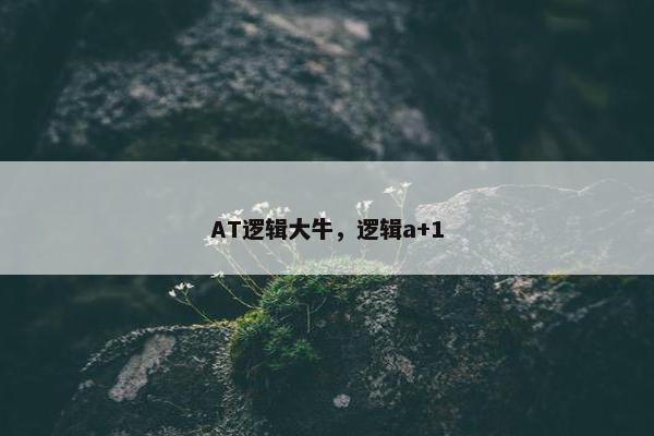 AT逻辑大牛，逻辑a+1