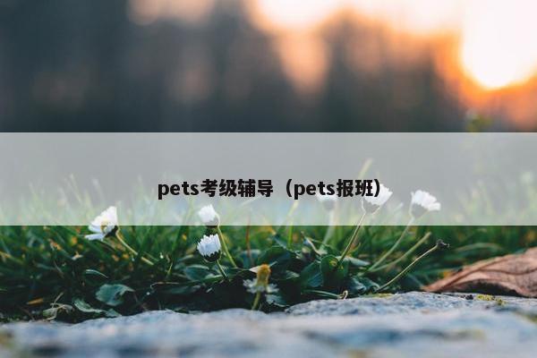 pets考级辅导（pets报班）