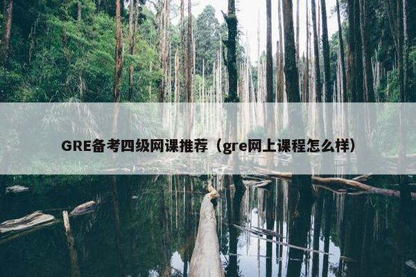 GRE备考四级网课推荐（gre网上课程怎么样）