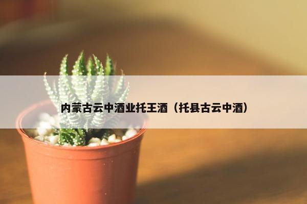 内蒙古云中酒业托王酒（托县古云中酒）