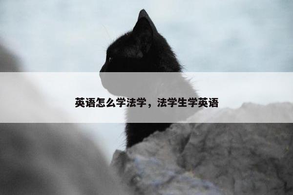 英语怎么学法学，法学生学英语