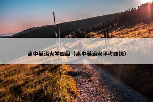 高中英语大学四级（高中英语水平考四级）