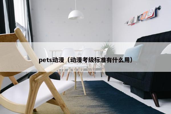 pets动漫（动漫考级标准有什么用）