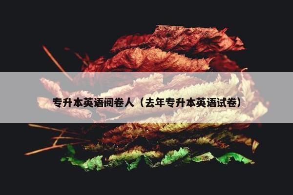 专升本英语阅卷人（去年专升本英语试卷）