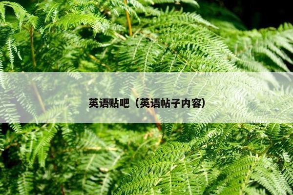 英语贴吧（英语帖子内容）