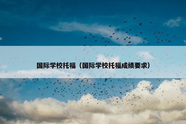 国际学校托福（国际学校托福成绩要求）