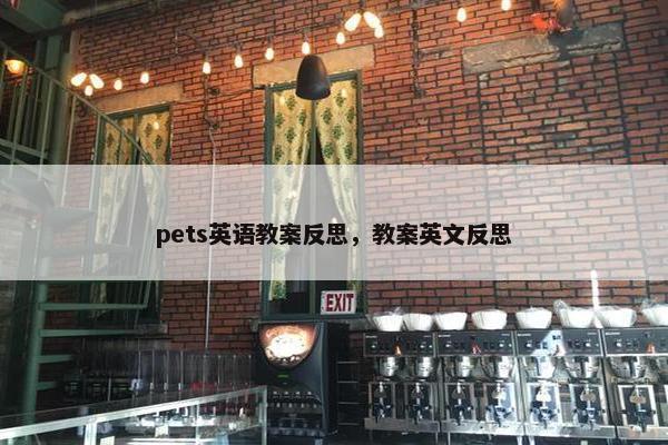 pets英语教案反思，教案英文反思