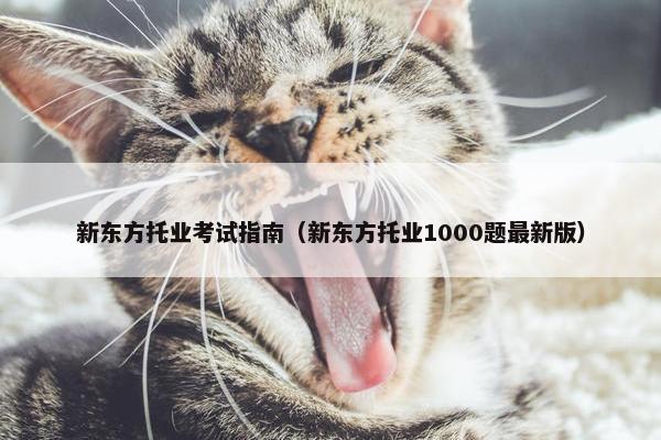 新东方托业考试指南（新东方托业1000题最新版）
